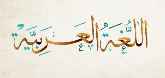 لغة عربية – 2ث – سالم أحمد
